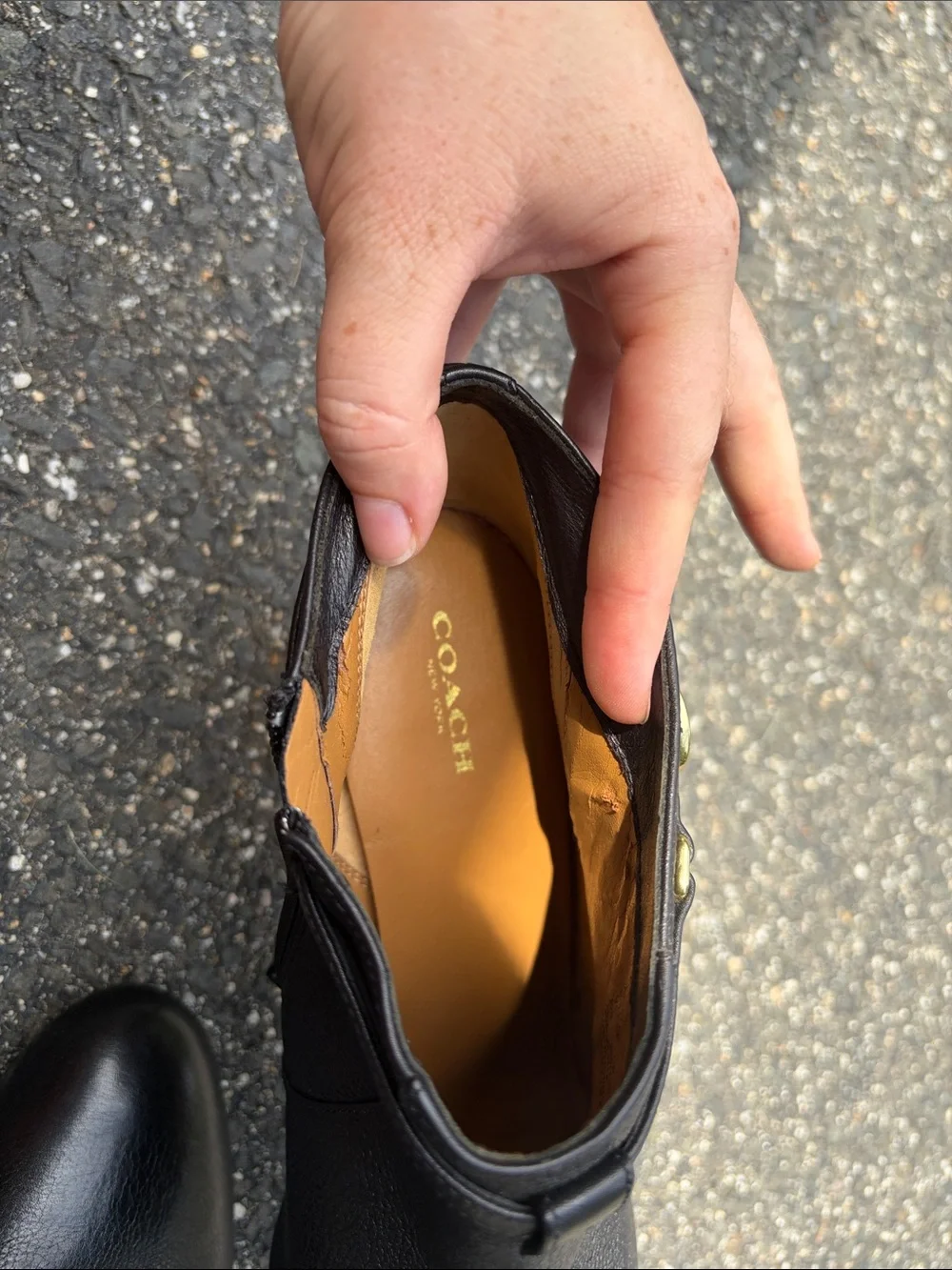Coach Black Leather Ankle Booties with Gold-Tone Logo Accent